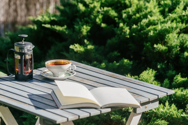 conciergerie hérault sérénité confiance conciergerie hérault sérénité confiance